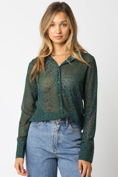 Green Leopard Print Sheer Long Sleeve Blouse