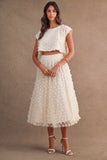 Cream Mesh 3d Applique Crop Top And Midi Skirt Set