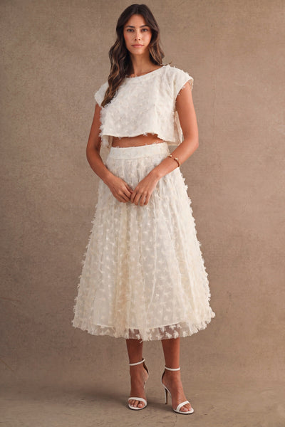 Cream Mesh 3d Applique Crop Top And Midi Skirt Set