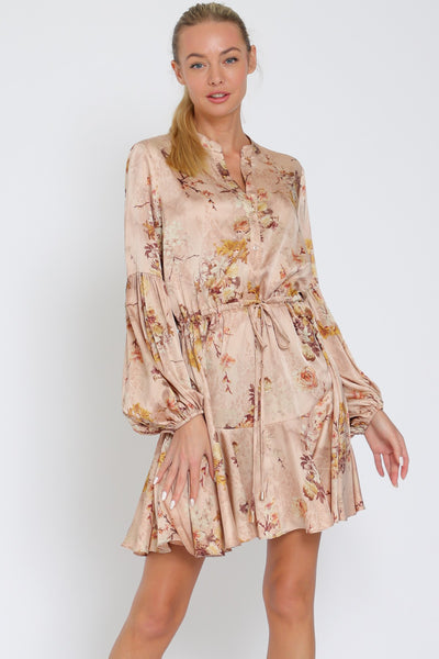 Nude, Beige & Multi Floral Long Sleeve Button Down Tie Front Mini Dress