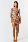 Multi Colored Zebra Print Mesh Twist One Shoulder Top & Skirt Set